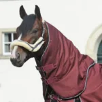 Vratni del za pregrinjalo Alaska IV 100g bordo