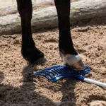 Vile Original Swedish - slika 2