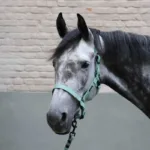 Oglavka Lami-Cell Vibes - slika 2