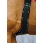 Podsedelni pas Norton Magnet - slika 2