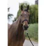 Hlevska uzda za konja Norton Satin Cob - slika 6