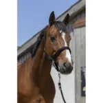 Hlevska uzda za konja Norton Satin Cob - slika 7