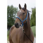 Hlevska uzda za konja Norton Satin Cob - slika 5