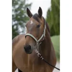 Hlevska uzda za konja Norton Satin Cob