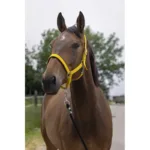 Hlevska uzda za konja Norton Satin Cob - slika 2