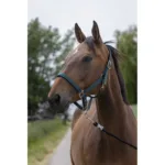 Hlevska uzda za konja Norton Satin Cob - slika 3