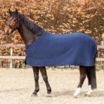 Pregrinjalo Kavalkade Graceful - slika 3