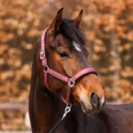 Oglavka Kavalkade "Satin"